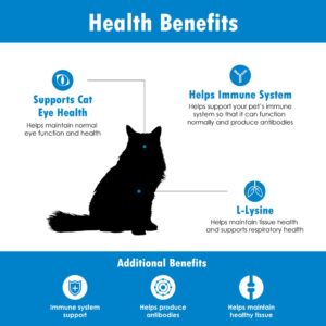 Felisyl L-Lysine Gel for Cats - Immune System Support - Supplement Support for Healthy Tissue, Respiratory, and Vision - Salmon-Flavored - Made in The USA - 6-Pack - 30 oz