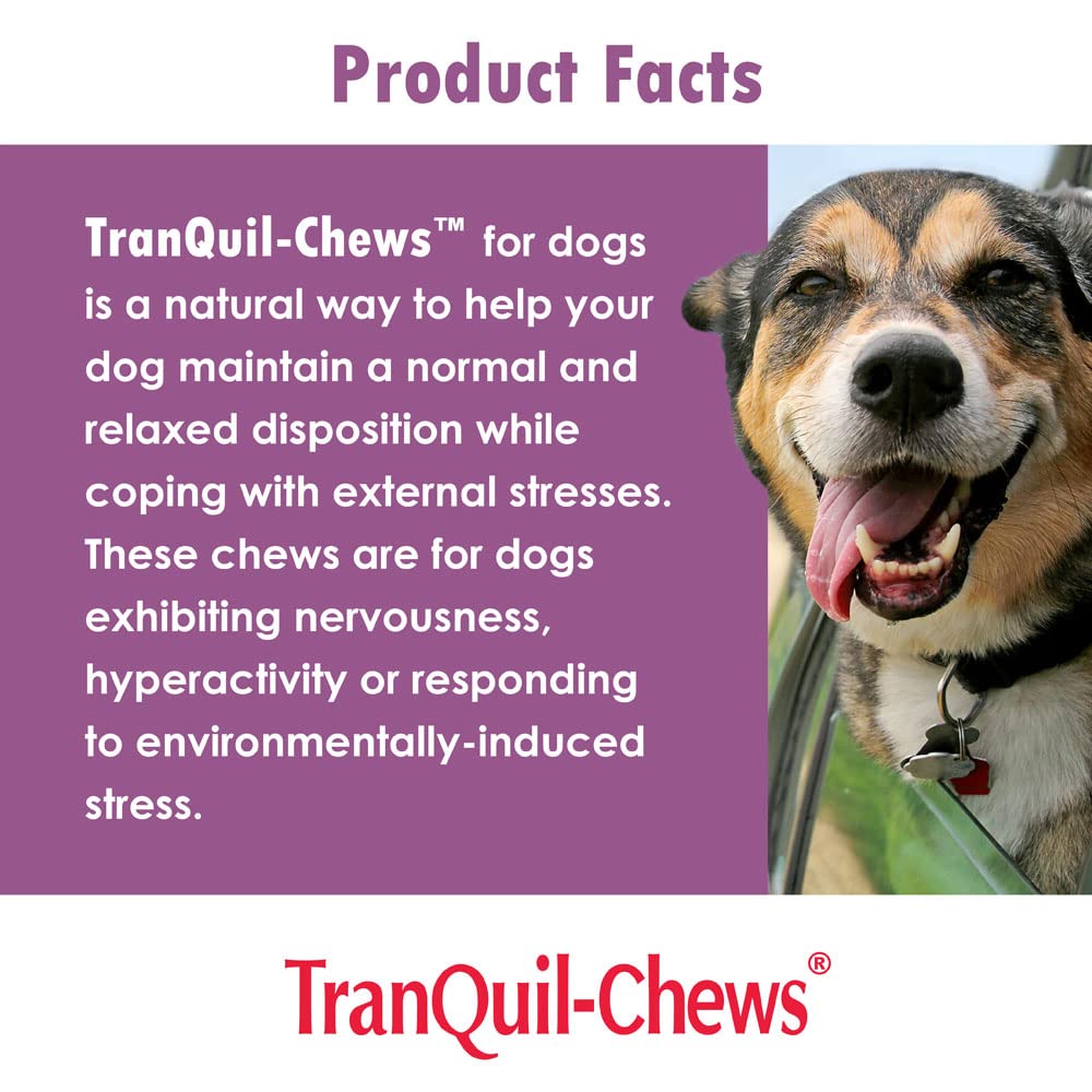 TranQuil-Chews for Dogs - Contains Chamomile, L-Tryptophan, and Melatonin - Relieves Stress and Tension - Ease Travel and Separation Anxiety - 180 Soft Chews