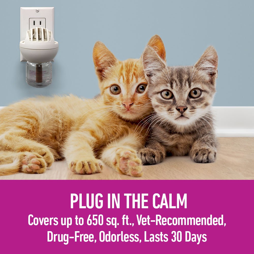 Comfort Zone Multicat Diffuser Kit for Cat Calming