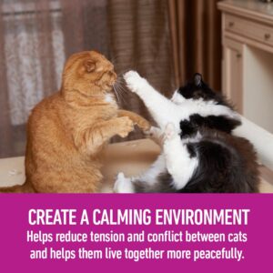 Comfort Zone Multicat Diffuser Kit for Cat Calming