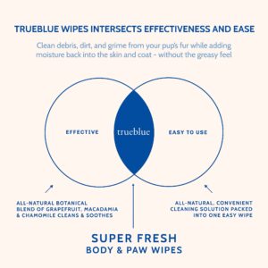 TrueBlue Super Fresh Body and Paw Wipes for Dogs and Puppies - Clean Dirty Paws and for deodorizing - Extra Large, Non-Toxic - 8"x7" - 100 Count