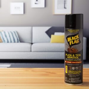 Black Flag Flea & Tick Killer for Upholstery & Pet Bedding Aerosol, 16-Ounce