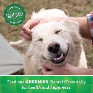 Greenies Dental Dog Treats Teenie Size, Original Flavor (36 Ounce, 130 Treats)