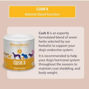 Hilton Herbs Canine Adrenal Gland Support Supplement for Dogs, 4.4 oz Tub