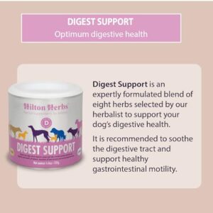 Hilton Herbs Canine Digest Support Supplement for Dogs, 4.4 oz Tub