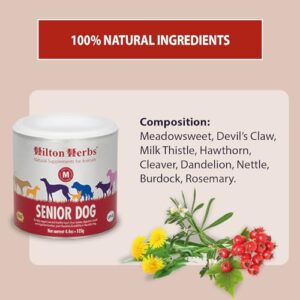 Hilton Herbs Senior Dog Optimum Health Supplement for Older Dogs, 4.4 oz Tub