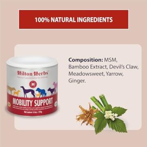 Hilton Herbs Canine Mobility Support Supplement for Optimum Joint Health in Dogs, 4.4 oz Tub