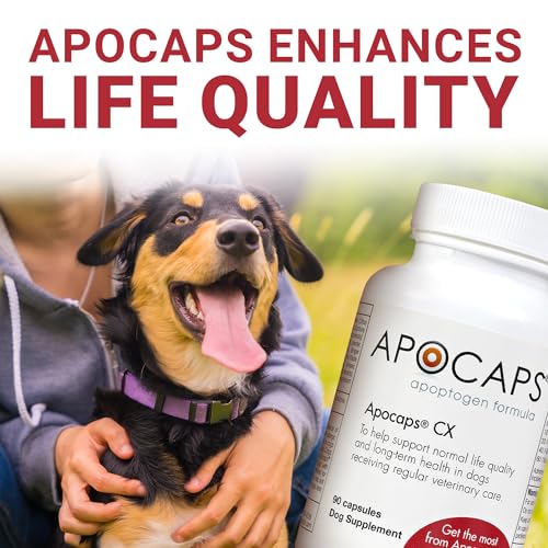 Apocaps CX Apoptogen Formula for Dogs (270 Capsules) - Supports Normal Levels of Apoptosis + Human Grade Ingredients Including Citrus Bioflavonoids, Silymarin, Curcumin and Turmeric + Biovadex