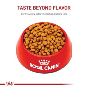 Royal Canin Chihuahua Adult 8+ Breed Specific Dry Dog Food for Senior Dogs, 2.5 lb. bag