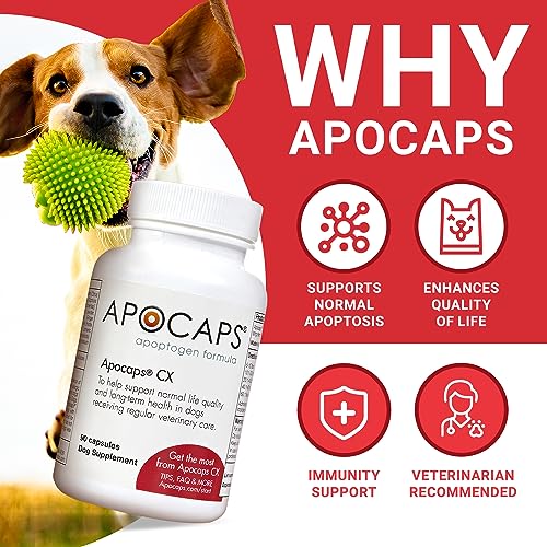 Apocaps CX Apoptogen Formula for Dogs (270 Capsules) - Supports Normal Levels of Apoptosis + Human Grade Ingredients Including Citrus Bioflavonoids, Silymarin, Curcumin and Turmeric + Biovadex