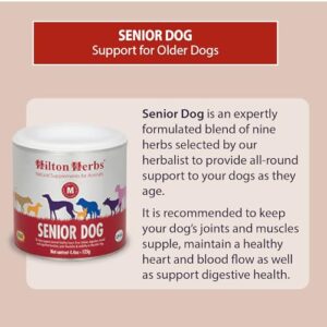 Hilton Herbs Senior Dog Optimum Health Supplement for Older Dogs, 2.1 oz Tub