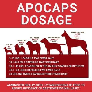 Apocaps CX Apoptogen Formula for Dogs (270 Capsules) - Supports Normal Levels of Apoptosis + Human Grade Ingredients Including Citrus Bioflavonoids, Silymarin, Curcumin and Turmeric + Biovadex