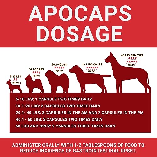 Apocaps CX Apoptogen Formula for Dogs (270 Capsules) - Supports Normal Levels of Apoptosis + Human Grade Ingredients Including Citrus Bioflavonoids, Silymarin, Curcumin and Turmeric + Biovadex