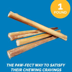 123 Treats 12-Inch Bully Sticks for Dogs (1 Pound Bag) – 100% Natural Grass-Fed Bulk Chews for Dogs & Puppies, Free-Range, Long Lasting Premium Beef Chews | Fully Digestible Dental Treats