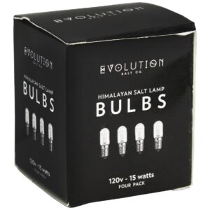 Evolution Salt Clear 15 Watt Bulb (4 Pack), 4 Pk