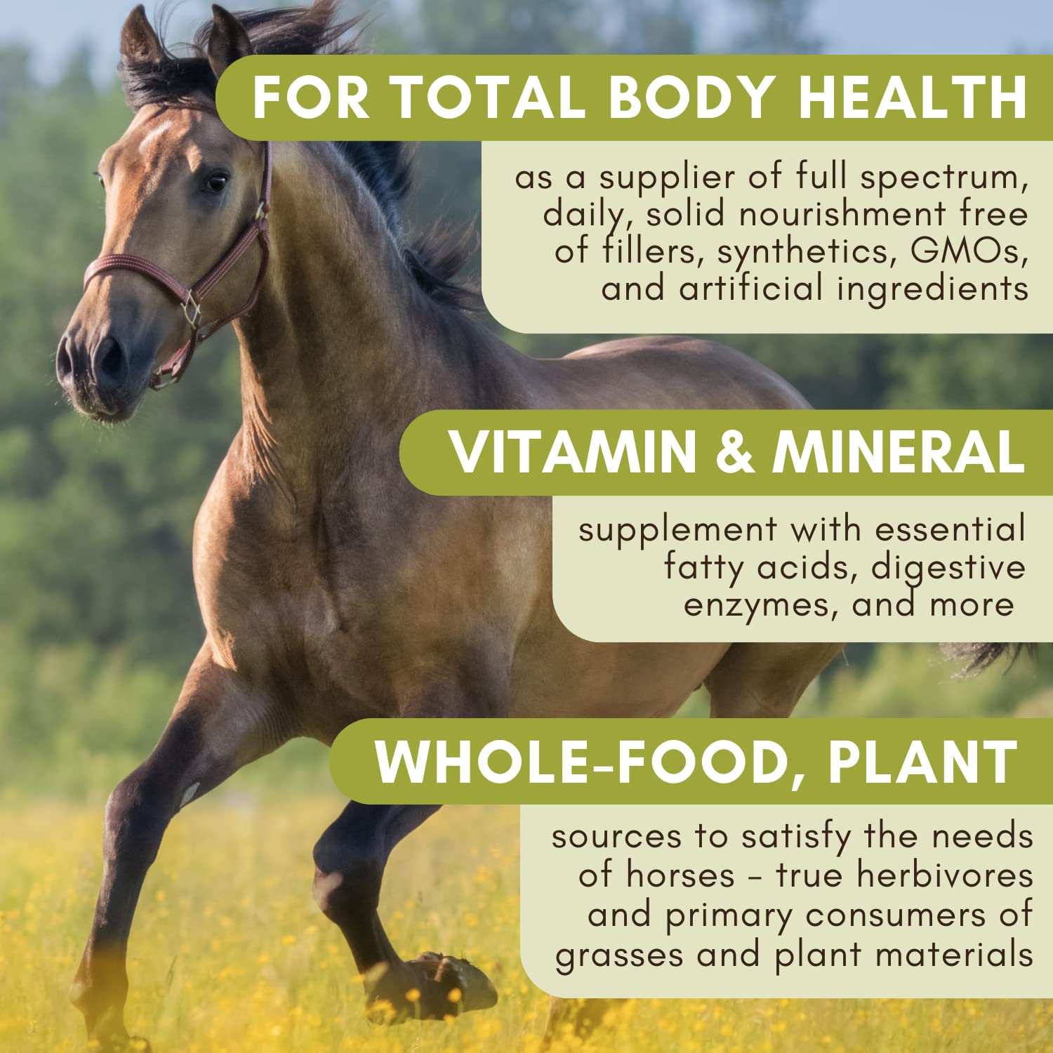 Wholistic Pet Organics Equine Complete: Horse Multivitamin for Total Body Health - Horse Supplement with Vitamins, Minerals, Prebiotics, Probiotics, Antioxidants and More - 4 Lb