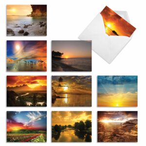 the best card company 10 assorted nature thank you notecards box set 4 x 5.12 inch with envelopes (10 designs, 1 each) sun settings m1740ty