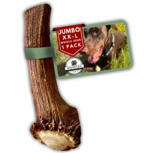 whitetail naturals | deer antlers for extra large dogs - (jumbo-xxl) - naturally shed, long lasting chew bone for aggressive chewers