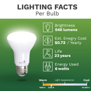 Bioluz LED 2-Pack R20 LED Light Bulbs, 6W = 50W Replacement, 2700K Bright Warm White LED Light Bulbs, 540 Lumens, 90 CRI, Dimmable, Soft White, Indoor/Outdoor, UL Listed, CEC Title 20