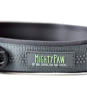 Mighty Paw Dog Collar - Neoprene Padded - Reflective for Running - Extra Comfort for Active Dogs - Premium Quality Reflective Collar - Comfortable Dog Collar for All Dog Breeds - Heavy Duty Dog Collar