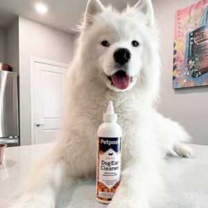 Petpost | Dog Ear Cleaner - Natural Coconut Oil Solution - Best Remedy for Odor - Dog Ear Problems - Chemical & Irritant Free 8 oz.