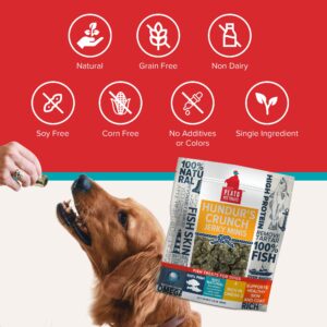 Hundur's Crunch Single Ingredient Cod Skin Dog Treats – Minis