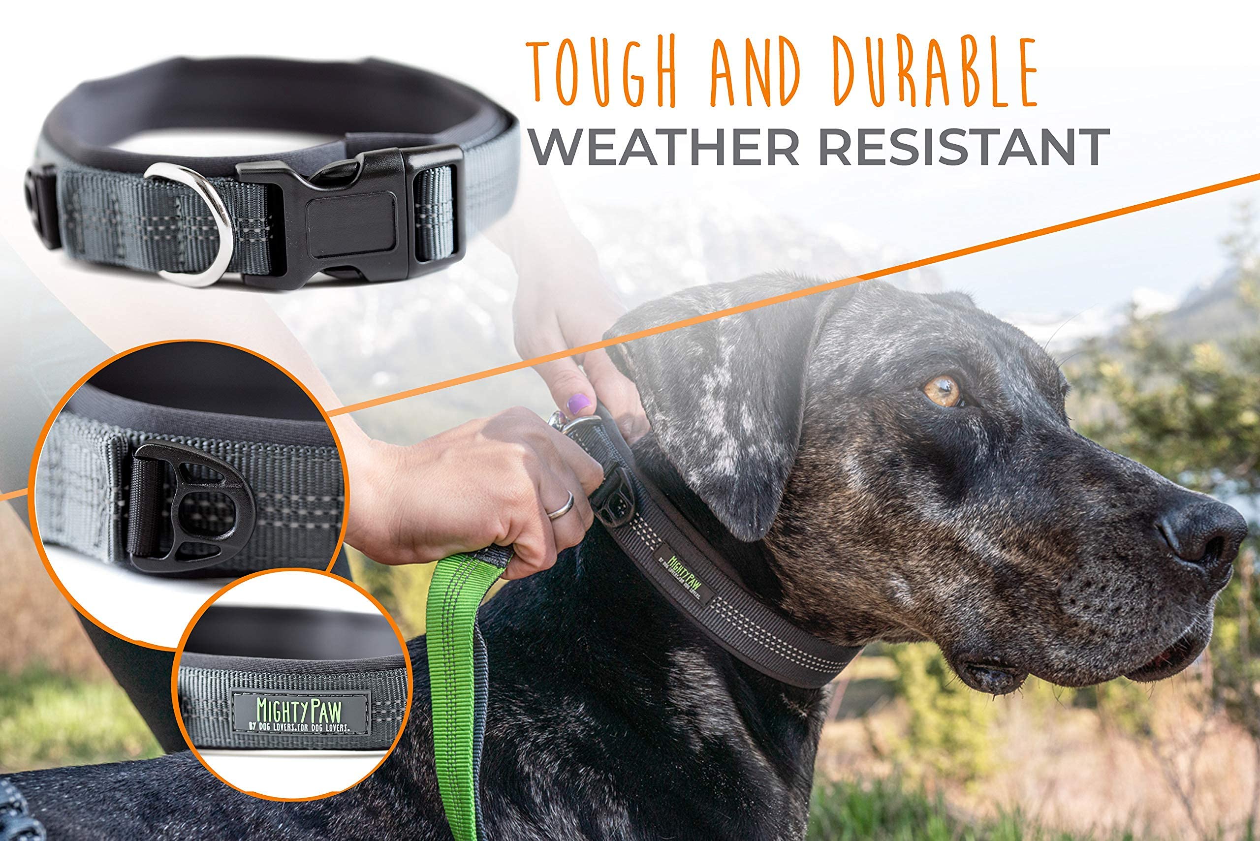 Mighty Paw Dog Collar - Neoprene Padded - Reflective for Running - Extra Comfort for Active Dogs - Premium Quality Reflective Collar - Comfortable Dog Collar for All Dog Breeds - Heavy Duty Dog Collar