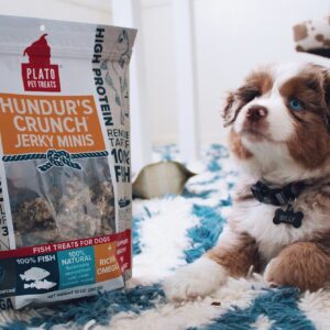 Hundur's Crunch Single Ingredient Cod Skin Dog Treats – Minis