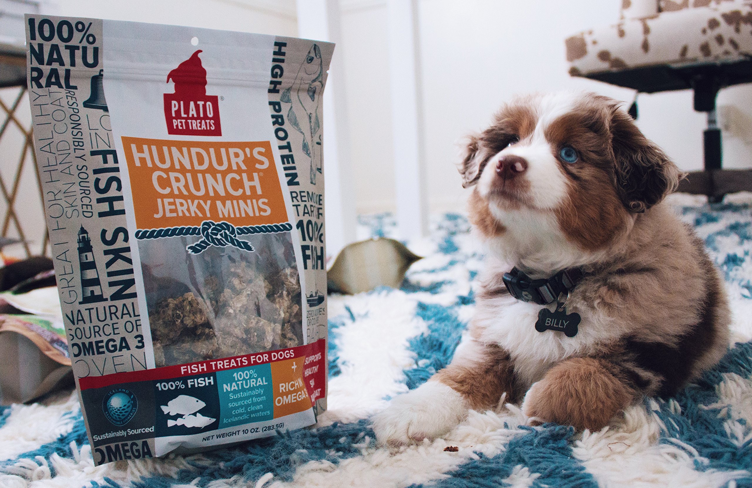 Hundur's Crunch Single Ingredient Cod Skin Dog Treats – Minis