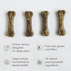 V-dog Dog Treats - Vegan Breathbone Teeth Cleaning Dental Dog Bones - Fresh Breath - 8 Ounces - All Natural - Made in USA - 6 Bones - 4" Long - Easy to Digest