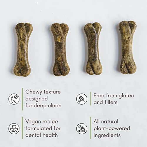 V-dog Dog Treats - Vegan Breathbone Teeth Cleaning Dental Dog Bones - Fresh Breath - 8 Ounces - All Natural - Made in USA - 6 Bones - 4" Long - Easy to Digest