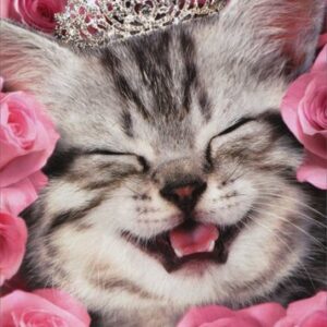 Kitten Face Flowers Tiara - Avanti Cat Birthday Card