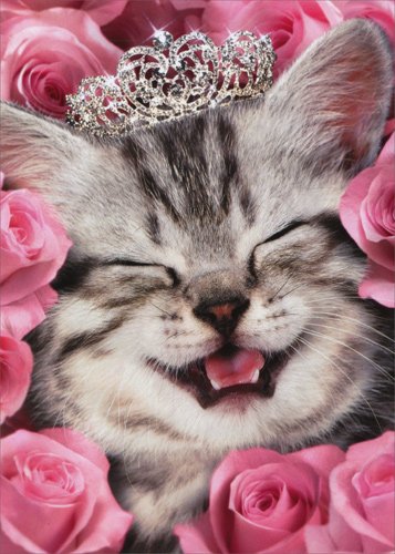 Kitten Face Flowers Tiara - Avanti Cat Birthday Card