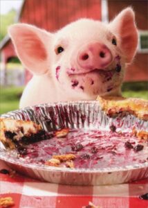 party pig pie plate - avanti birthday card