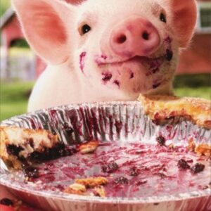 Party Pig Pie Plate - Avanti Birthday Card