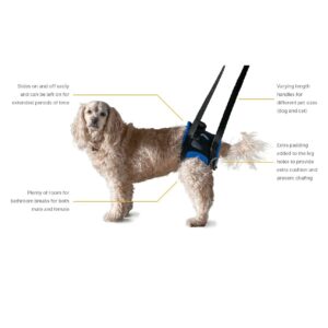 Walkabout Back End Harness, Dog and Cat Lifting Aid for Pets Needing Assistance with Walking/Mobility - A Dog Support Harness for Back Legs (XLarge 32-36" Abdomen)