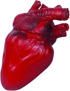 loftus international bloody realistic heart halloween decoration prop, red