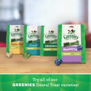 GREENIES Blueberry Flavor TEENIE Dog Dental Chews - 12 Ounces 43 Treats