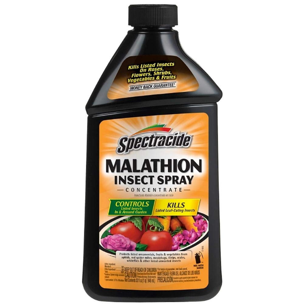 MALATHION SPRY CONC 32OZ