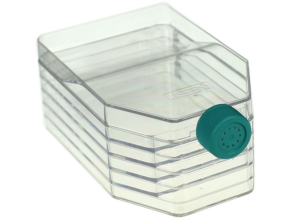 Nest Scientific 731002 5-Layer Polystyrene Cell Culture Flask, Vent Cap, Straight Neck, Tissue Culture Treated, Sterile, Clear, 1 per Pack, 8 per Case (Pack of 8)