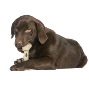 Cadet Hide-a-Bull Rawhide and Bull Stick Bone For Dogs 9-10"