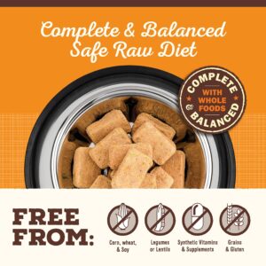 Primal Freeze Dried Raw Dog Food Nuggets, Beef, Complete & Balanced Meal, Also Use as Topper or Treat, Premium, Healthy, Grain Free, High Protein Raw Dog Food, 5.5 oz