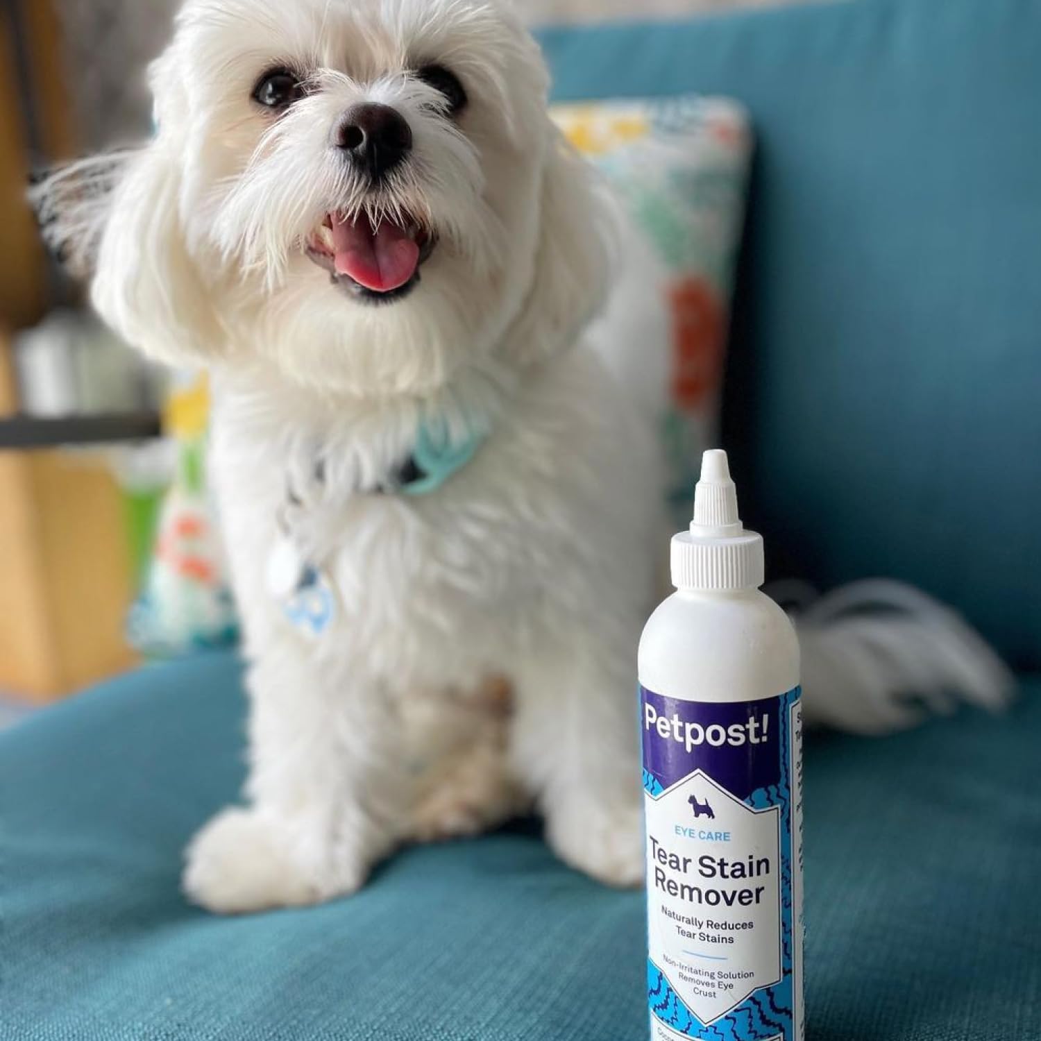 Petpost | Tear Stain Remover for Dogs - Best Natural Eye Treatment for White Fur - Soothing Coconut Oil - Maltese, Shih Tzu, Chihuahua Angels Approved - Chemical and Bleach Free - 8 oz.