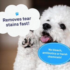 Petpost | Tear Stain Remover for Dogs - Best Natural Eye Treatment for White Fur - Soothing Coconut Oil - Maltese, Shih Tzu, Chihuahua Angels Approved - Chemical and Bleach Free - 8 oz.