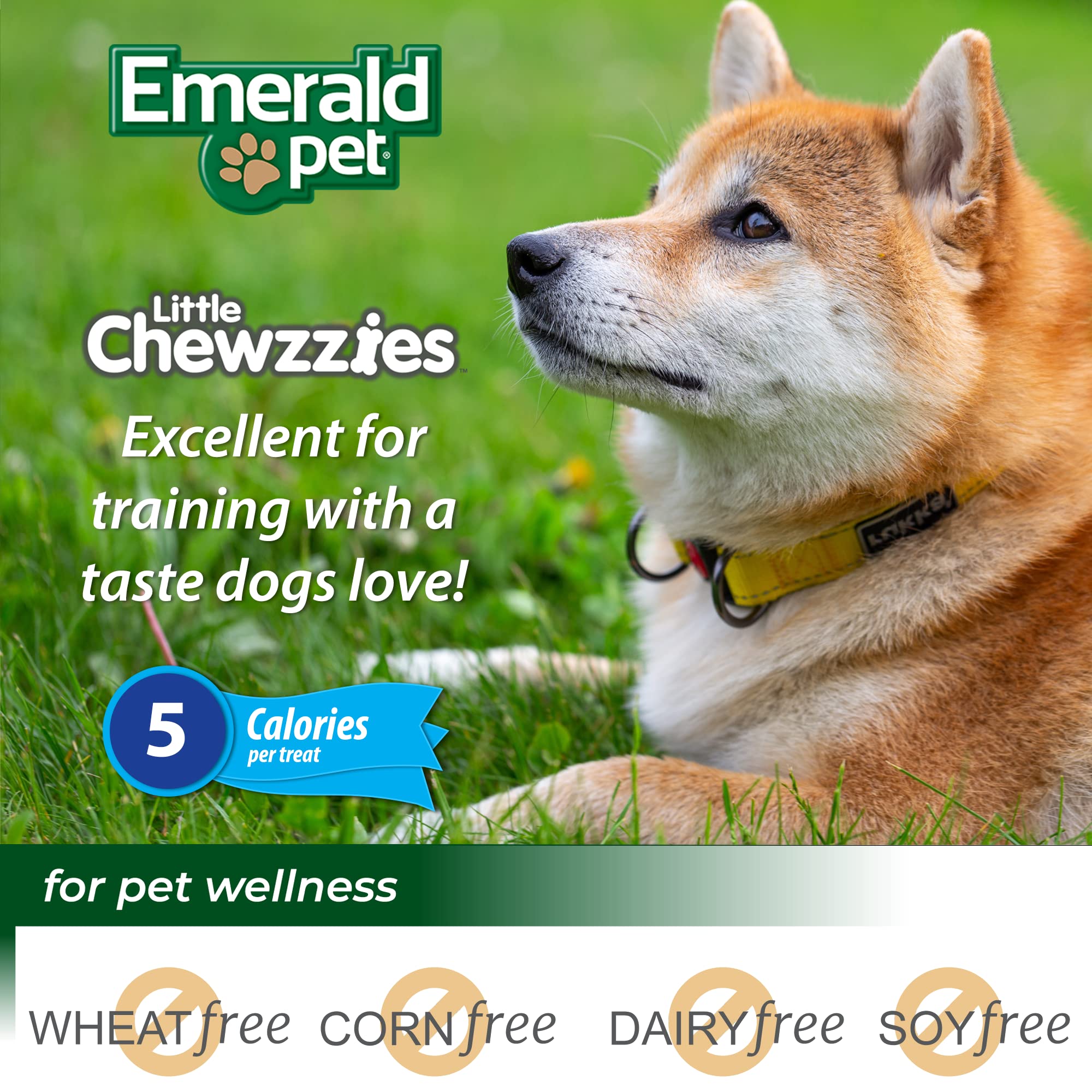 Emerald Pet Little Chewzzies Wheat Free Training Dog Treats — Healthy and Tasty Natural Dog Chews with Real Meat or Peanut Butter — Limited Ingredient Dog Treats Made in The USA — Peanut Butter, 5 oz