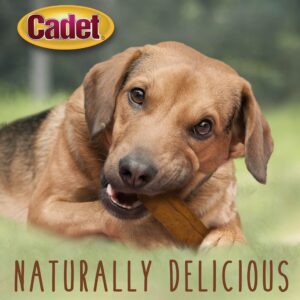 Cadet Premium Grade Beef Hide for Dogs, Rawhide Long Lasting Dog Chews, Chips, Curls & Rolls for Small/Medium/Large Dogs