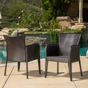 Christopher Knight Home Anaya Outdoor Wicker Dining Chairs, 2-Pcs Set, Multibrown