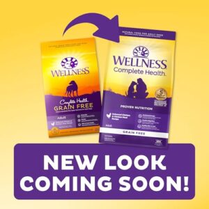 Wellness Complete Health Grain-Free Dry Dog Food, Natural Ingredients, Made in USA with Real Meat, For All Lifestages (Chicken, 24-Pound Bag)