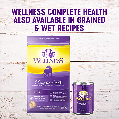 Wellness Complete Health Grain-Free Dry Dog Food, Natural Ingredients, Made in USA with Real Meat, For All Lifestages (Chicken, 24-Pound Bag)