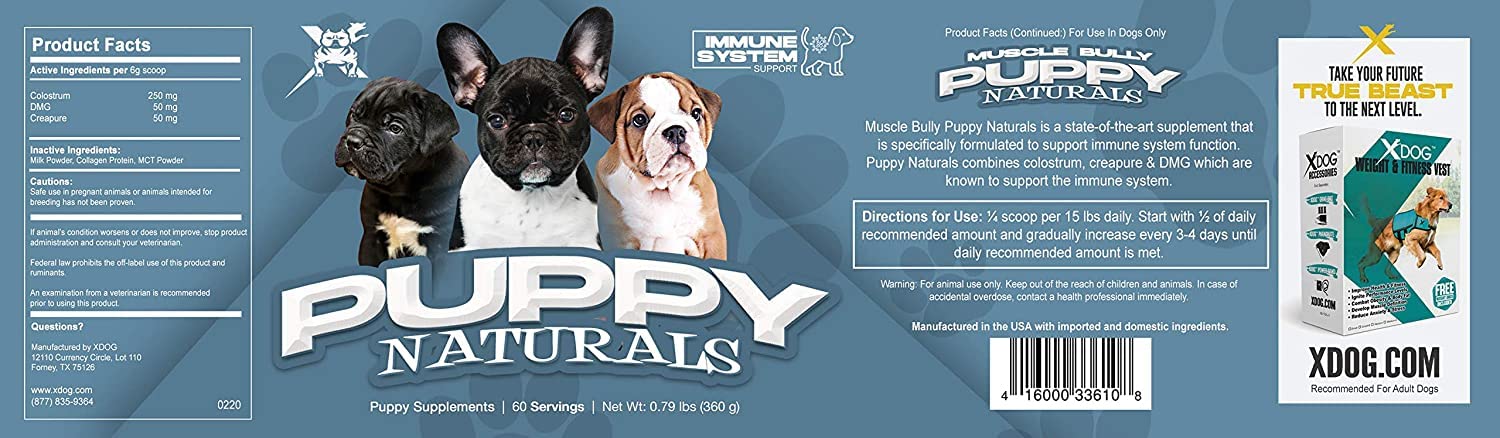 Muscle Bully Puppy Naturals | Muscle Building Immunity Milk Replacer + 10 in 1 Puppy MultiVitamin Nutrient Chew | Veterinarian Formulated. Nutritional Support for Growing Puppies (60 Servings).